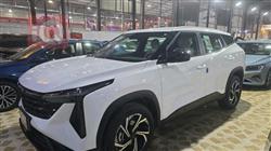 جيلي ستى راى